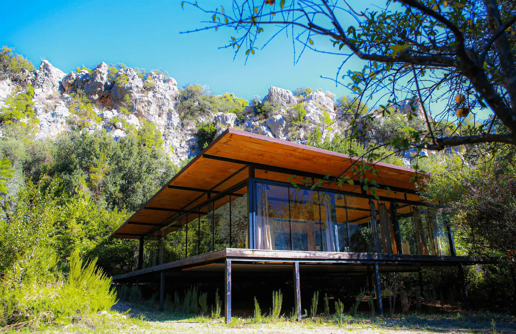 The_Land_Kaya_gruplar_groups