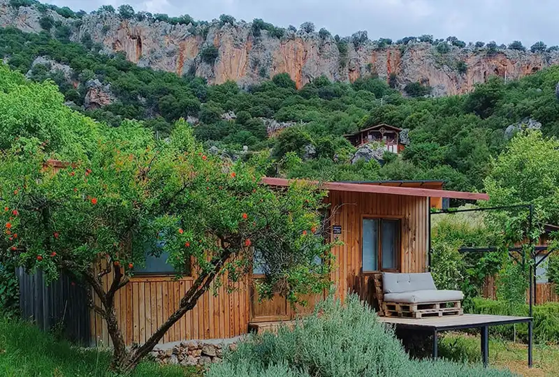 The_Land_natures_Heaven_2