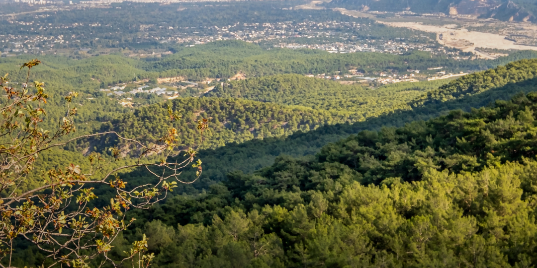 Welcome, March! 🌿