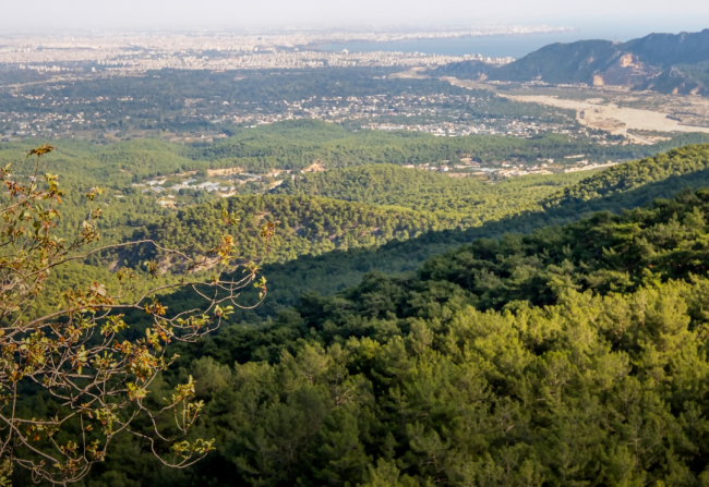 Welcome, March! 🌿