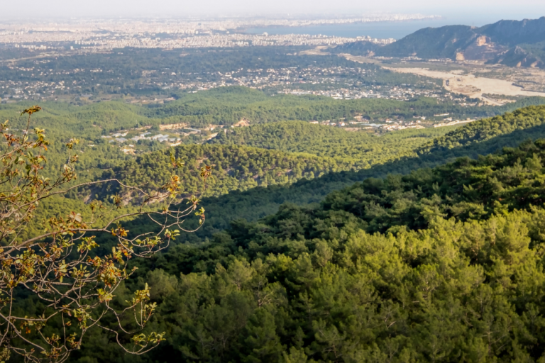 Welcome, March! 🌿
